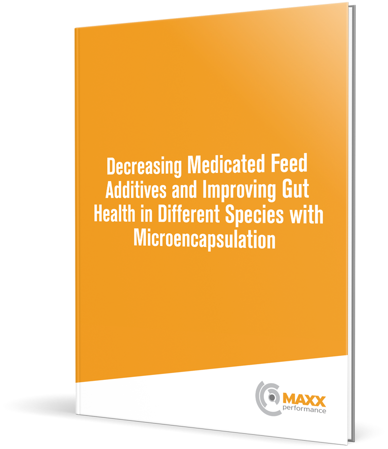 Decreasing Medicated Feed Additives and Improving Gut Health in Different Species with Microencapsulation